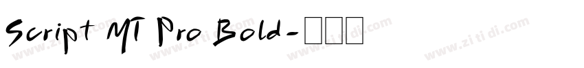 Script MT Pro Bold字体转换